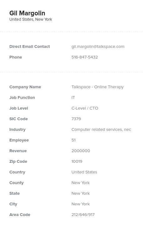 Sample of CEO Email List.